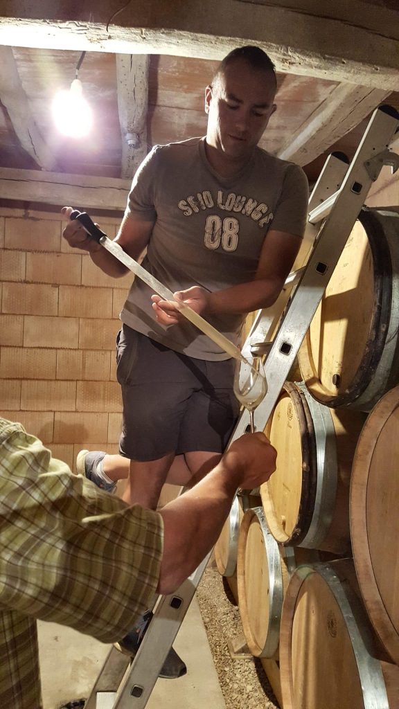 Dégustation au Domaine Quintefeuille à Lugny