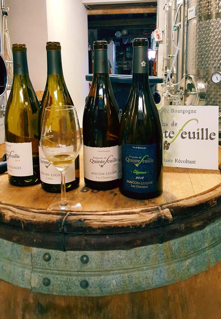 Bouteilles de vins du Domaine Quintefeuille à Lugny