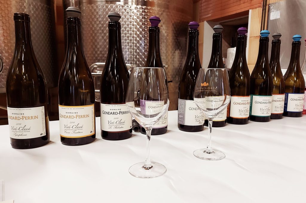 Bouteille de vins. Dégustation au Domaine Gondard-Perrin au Domaine à Clessé