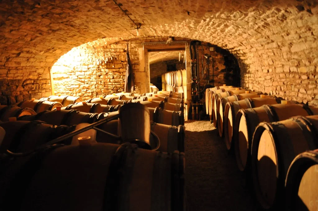 Cave Saumaize-Michelin