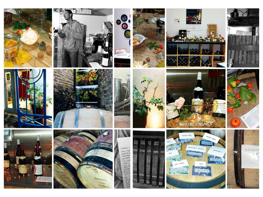 Photos diverses du Domaine Debreuille en collage