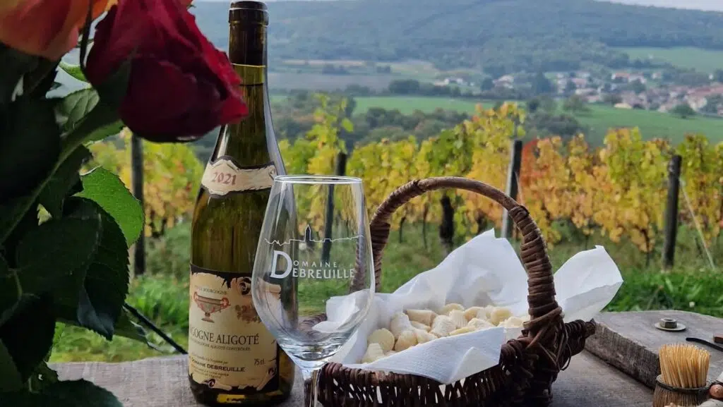 Dégustation au coeur des vignes Domaine Debreuille
