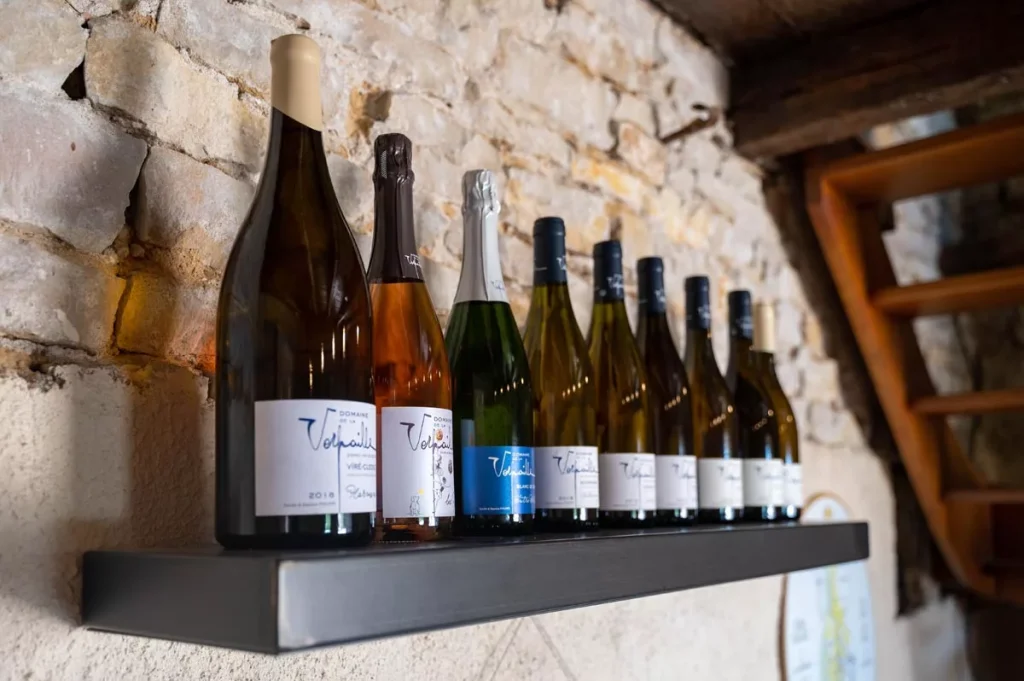 Bouteilles de vins Domaine La Verpaille à Clessé